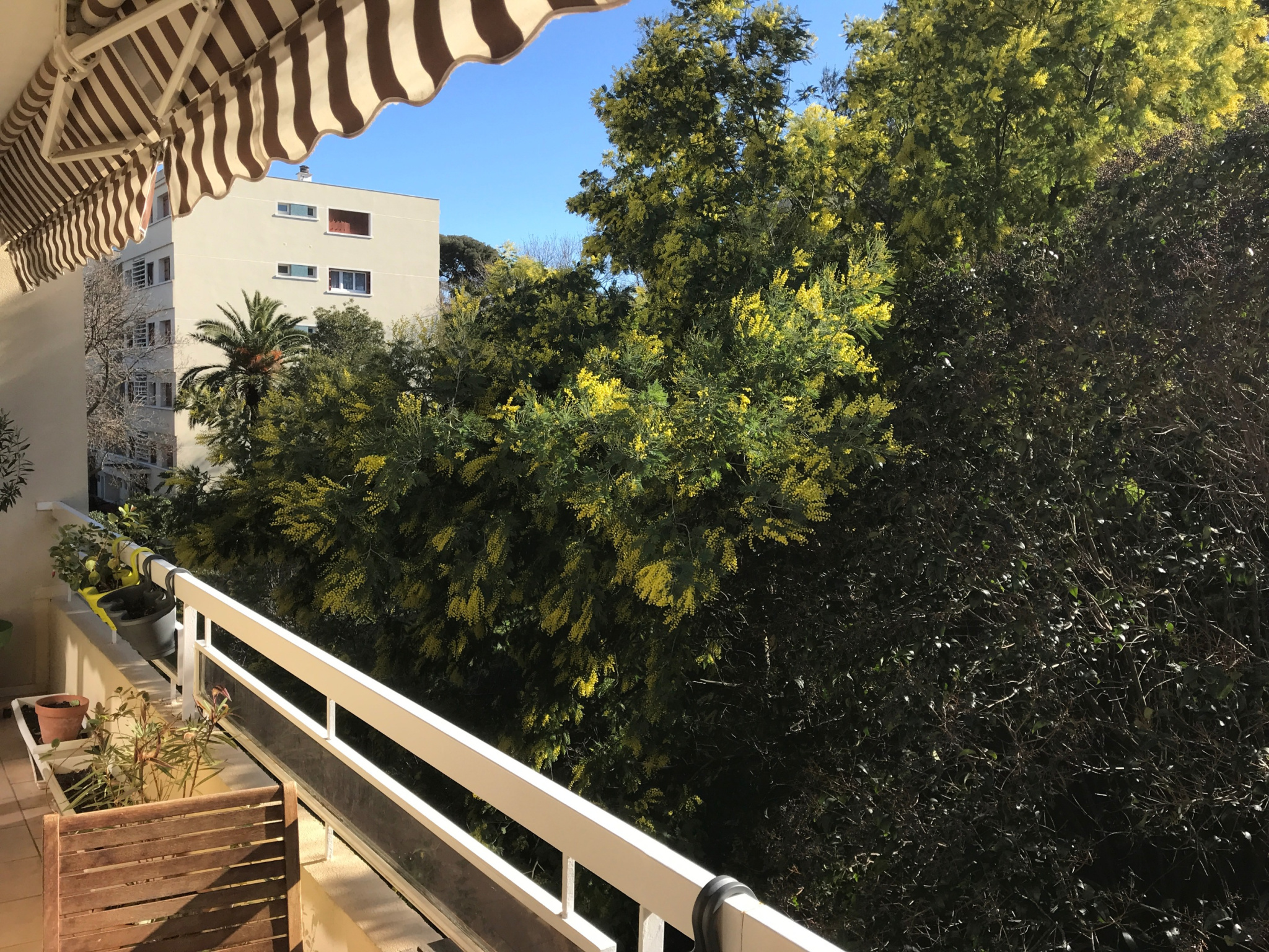 vente Toulon Petit Bois, dernier étage plein sud au calme IBOX